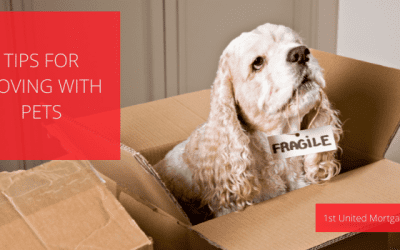 Tips For Moving With Pets